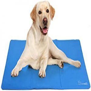 Arf Pets Self-Cooling Dog Mat