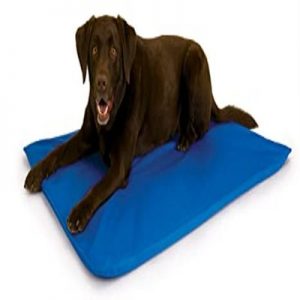 Chillz Cooling Mat for Dogs