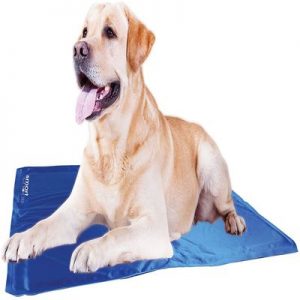 Coleman Pressure-Activated Cooling Gel Pet Pad
